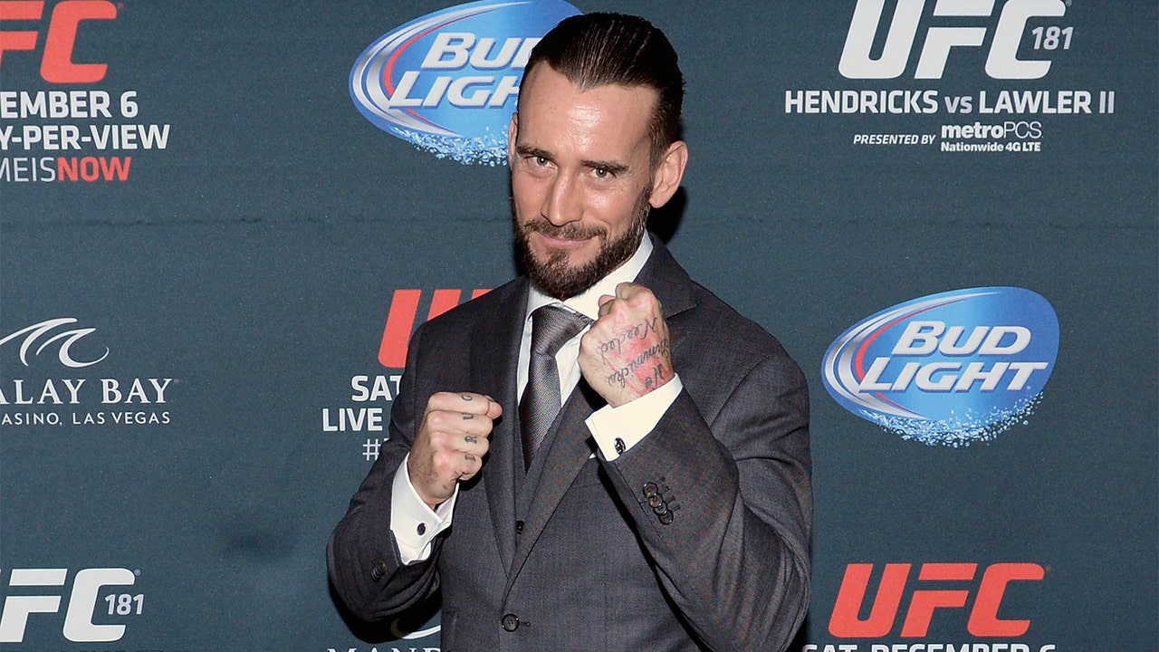 CM Punk was willing to do 'The Ultimate Fighter' to join the UFC